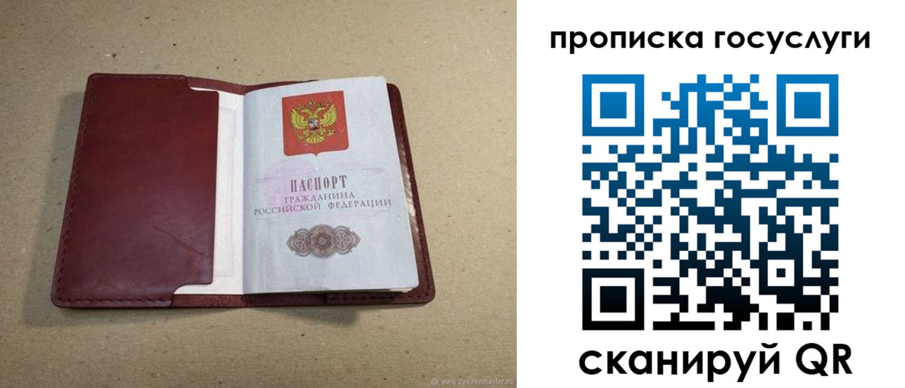 прописка поиск в Заполярном